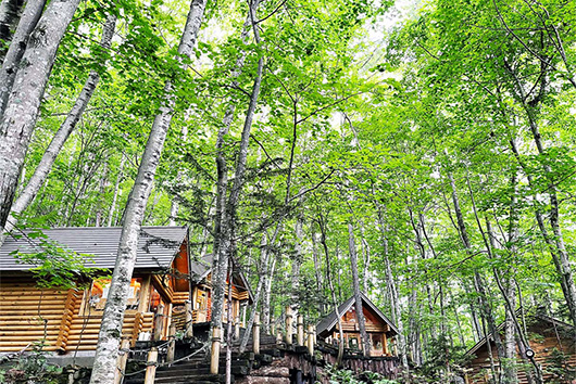 CFKが考えるGREENの役割とつながり