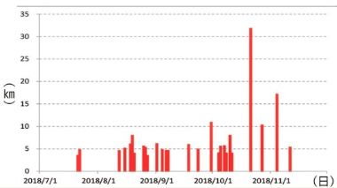 ランニングの練習日と距離