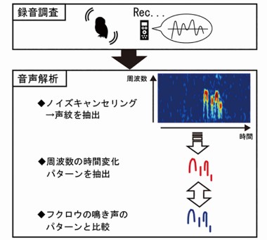 「QSAS-Bird」による解析のイメージ