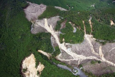 道路を寸断した土砂災害の調査