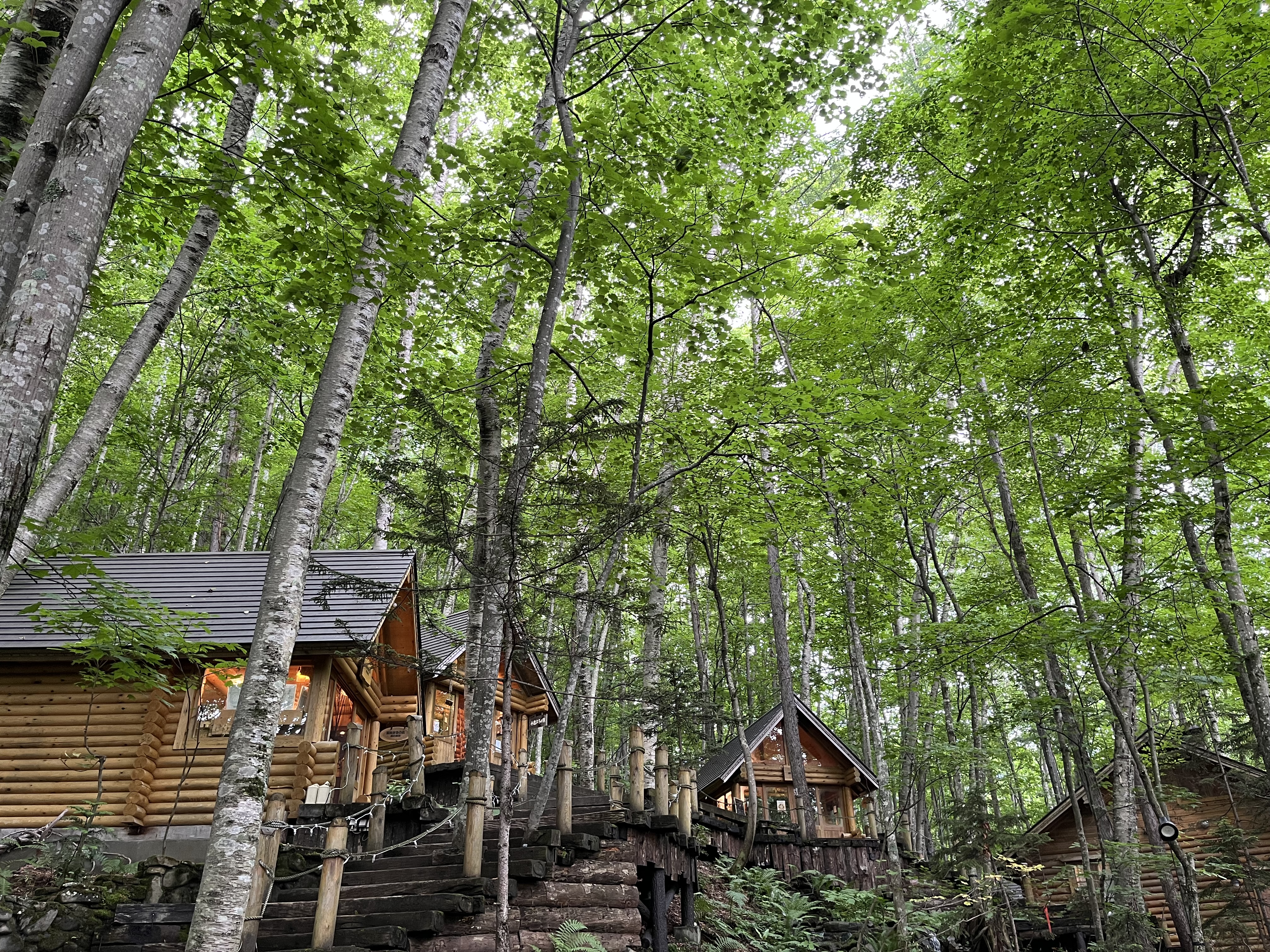 CFKが考えるGREENの役割とつながり