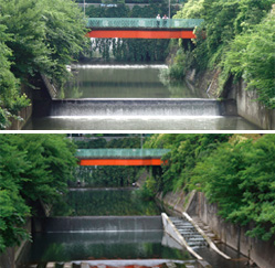 Promotion of the river that fish easily run-up (design of a fish ladder) 